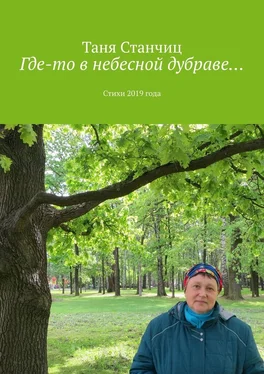 Таня Станчиц Где-то в небесной дубраве… Стихи 2019 года обложка книги
