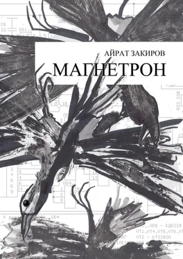 Айрат Закиров Магнетрон обложка книги