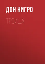 Дон Нигро - Троица