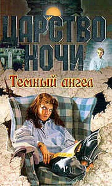 Лиза Смит Темный ангел обложка книги