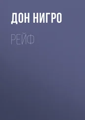 Дон Нигро - Рейф