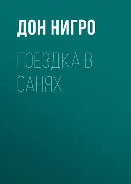 Дон Нигро Поездка в санях обложка книги