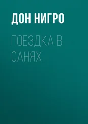 Дон Нигро - Поездка в санях