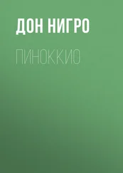 Дон Нигро - Пиноккио