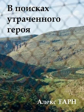 Алекс Тарн В поисках утраченного героя обложка книги