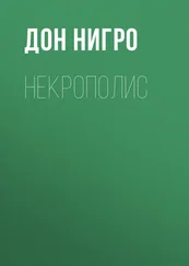 Дон Нигро - Некрополис