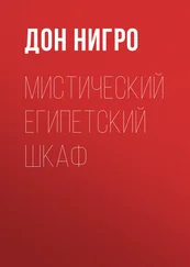 Дон Нигро - Мистический египетский шкаф