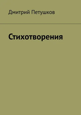 Дмитрий Петушков Стихотворения обложка книги