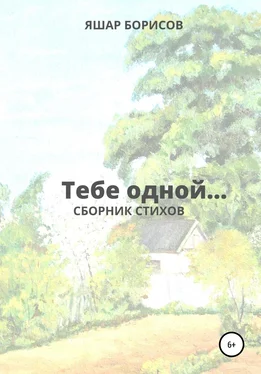 Яшар Борисов Тебе одной… обложка книги