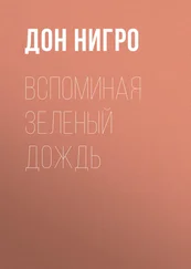 Дон Нигро - Вспоминая зеленый дождь