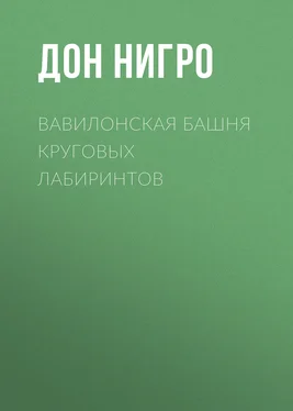 Дон Нигро Вавилонская башня круговых лабиринтов обложка книги