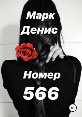 Марк Денис Номер 566 обложка книги