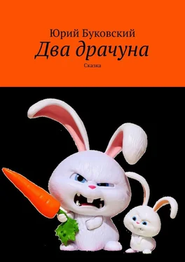 Юрий Буковский Два драчуна. Сказка обложка книги