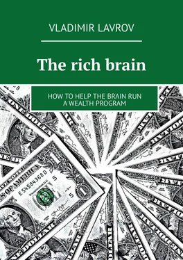 Vladimir Lavrov The rich brain. How to help the brain run a wealth program обложка книги