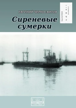 Евгений Черносвитов Сиреневые сумерки обложка книги