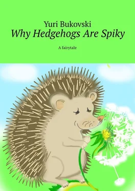 Yuri Bukovski Why Hedgehogs Are Spiky. A fairytale обложка книги
