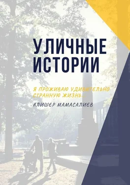 Алишер Мамасалиев Уличные истории. Я проживаю удивительно странную жизнь… обложка книги