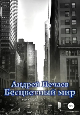 Андрей Нечаев Бесцветный мир