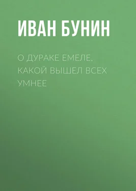 Иван Бунин О дураке Емеле, какой вышел всех умнее обложка книги