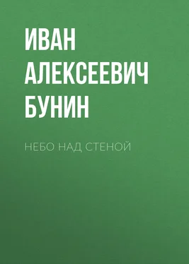 Иван Бунин Небо над стеной обложка книги