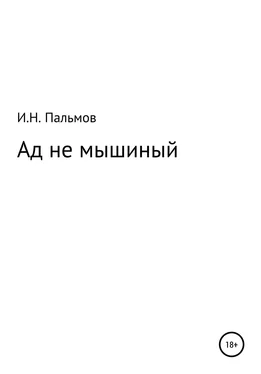 Иван Пальмов Ад не мышиный обложка книги