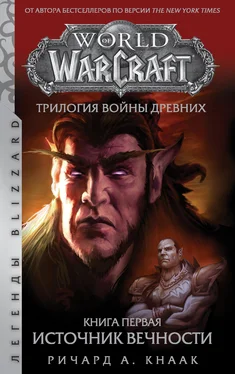 Ричард Кнаак World Of Warcraft. Трилогия Войны Древних: Источник Вечности обложка книги