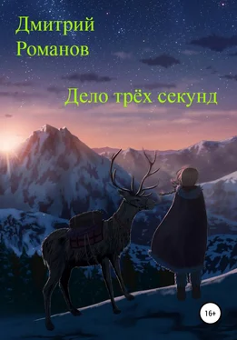 Дмитрий Романов Дело трёх секунд обложка книги