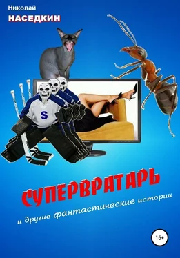 Николай Наседкин Супервратарь и другие фантастические истории обложка книги