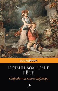 Иоганн Вольфганг Гёте Страдания юного Вертера обложка книги