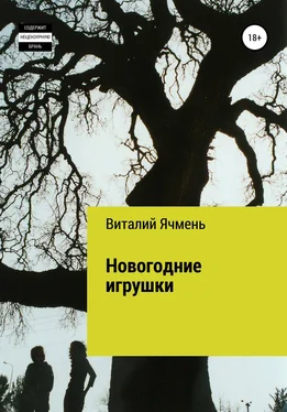 Виталий Ячмень Новогодние украшения обложка книги