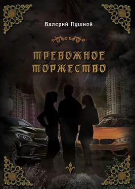 Валерий Пушной Тревожное торжество обложка книги
