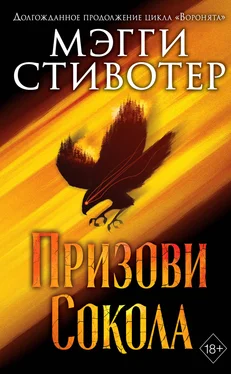 Мэгги Стивотер Сновидец. Призови сокола обложка книги