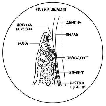 Довкола флуориду точаться дискусії еколюбителів Це природна сіль яку можна - фото 3