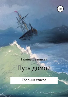 Галина Савицкая Путь домой обложка книги