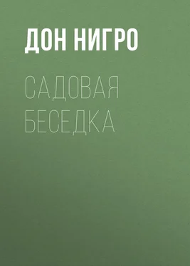 Дон Нигро Садовая беседка обложка книги