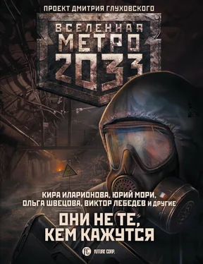 Игорь Осипов Метро 2033: Они не те, кем кажутся обложка книги