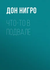 Дон Нигро - Что-то в подвале