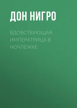 Дон Нигро Вдовствующая императрица в ночлежке обложка книги