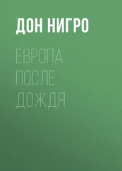 Дон Нигро - Европа после дождя