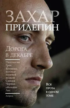 Захар Прилепин Дорога в декабре (сборник) обложка книги