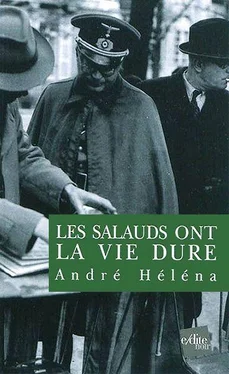 André Héléna Les salauds ont la vie dure обложка книги