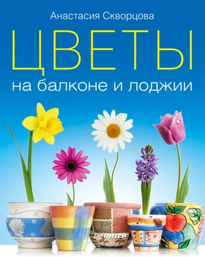 Анастасия Скворцова Цветы на балконе и лоджии обложка книги