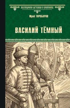 Юрий Торубаров Василий Тёмный обложка книги