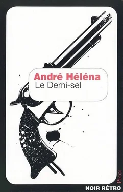 André Héléna Le Demi-sel обложка книги