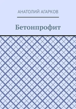 Анатолий Агарков Бетонпрофит обложка книги