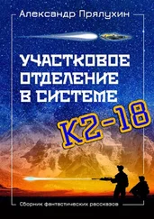 Александр Прялухин - Участковое отделение в системе К2—18. Сборник фантастических рассказов