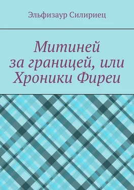 Эльфизаур Силириец Митиней за границей, или Хроники Фиреи обложка книги