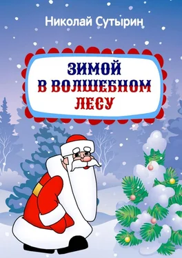 Николай Сутырин Зимой в Волшебном лесу обложка книги