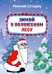 Николай Сутырин - Зимой в Волшебном лесу