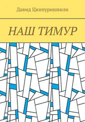 Давид Цкипуришвили - Наш Тимур